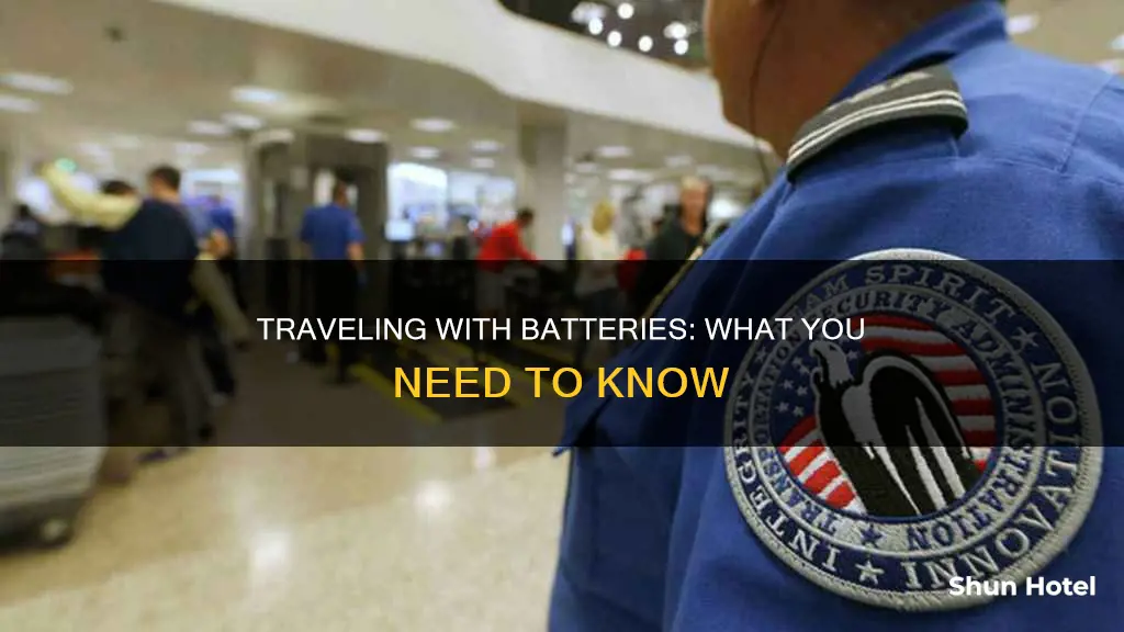 can you bring batteries through airport security