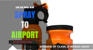 Airports and Bear Spray: What You Need to Know