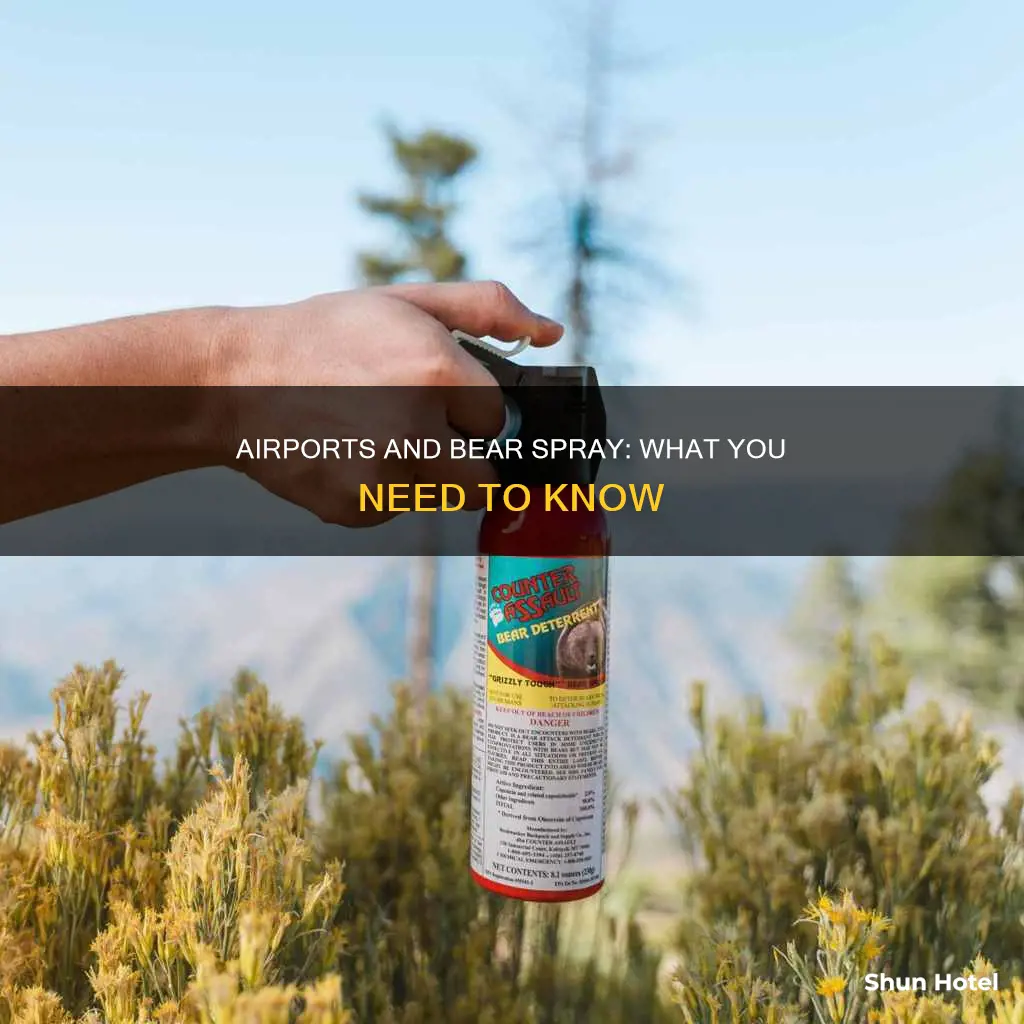 can you bring bear spray to airport