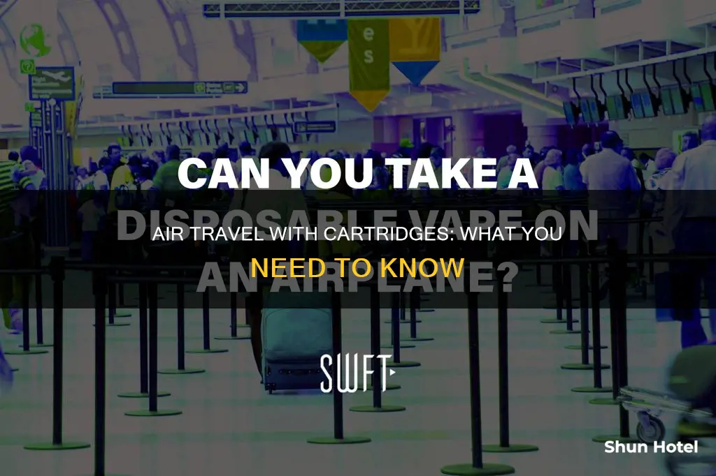 can you bring cartridges through the airport