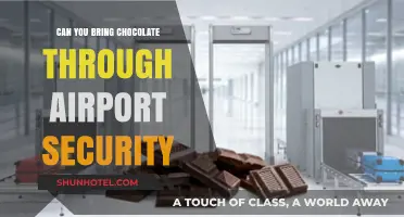 Traveling with Chocolate: Airport Security Rules Explained