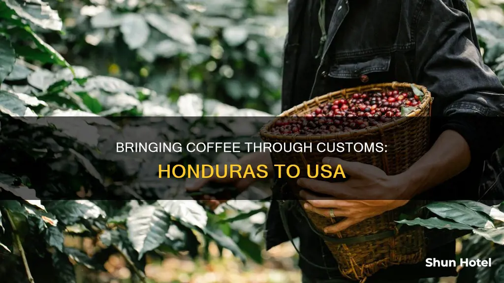 can you bring coffee from honduras to usa airport customs