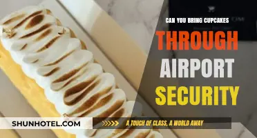 Traveling with Cupcakes: TSA-Friendly Treats?
