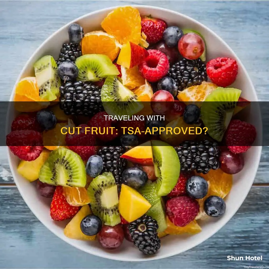 can you bring cut up fruit through airport security