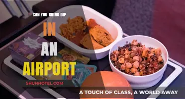 Traveling with Dip: What You Need to Know