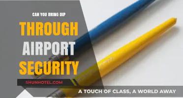 Traveling with Dip: TSA Rules and Regulations