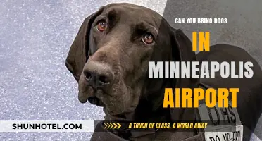 Minneapolis-St. Paul Airport: Pet-Friendly Travel