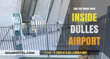 Dulles Airport: Are Dogs Allowed Inside?