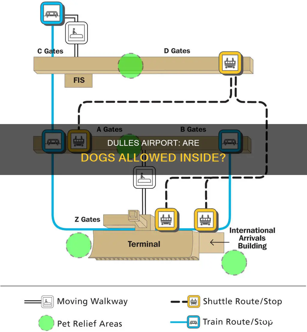 can you bring dogs inside dulles airport