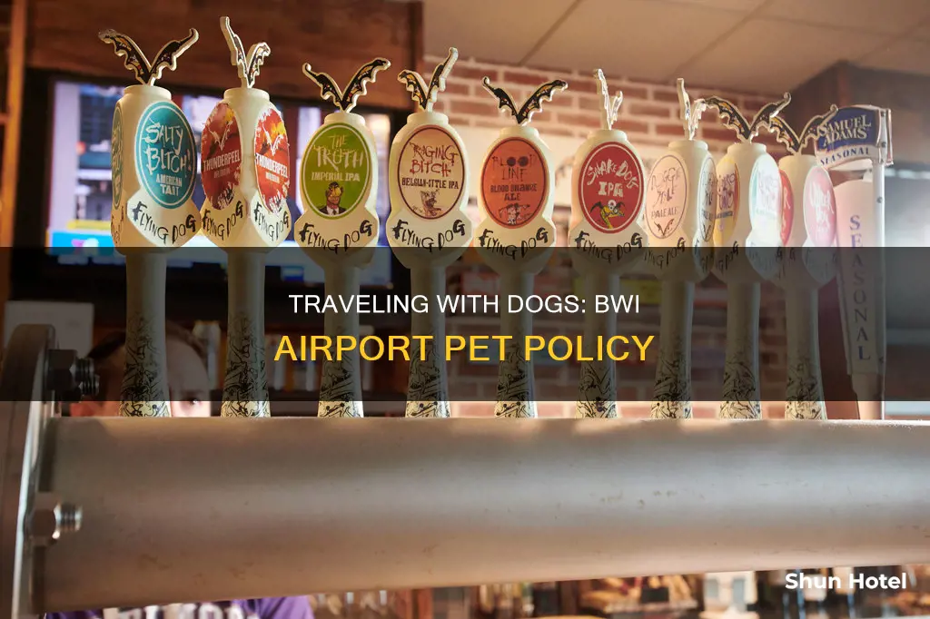 can you bring dogs into bwi airport