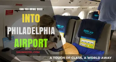 Traveling with Dogs? Philadelphia Airport Pet Policy Explained