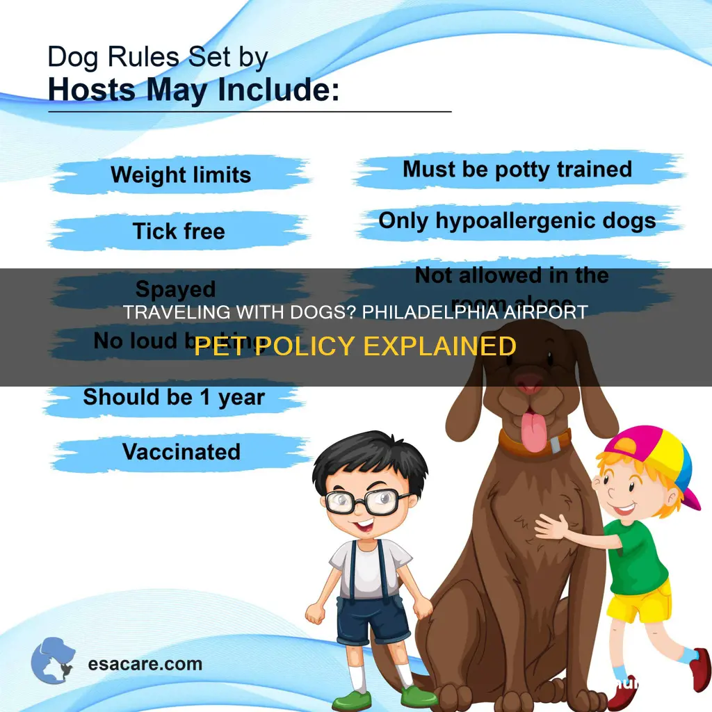 can you bring dogs into philadelphia airport