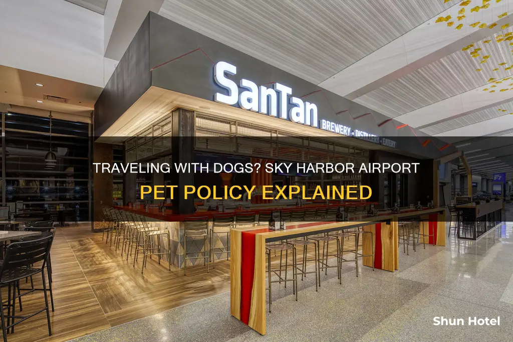 can you bring dogs into sky harbor airport