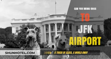 JFK Airport: Can You Bring Your Dog?