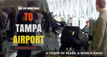 Tampa Airport: Are Dogs Allowed?