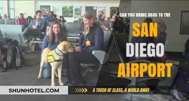 San Diego Airport: Can You Bring Your Dog?