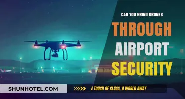 Drone Travel: Airport Security Clearance
