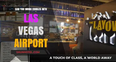 Traveling with Edibles: Las Vegas Airport Rules