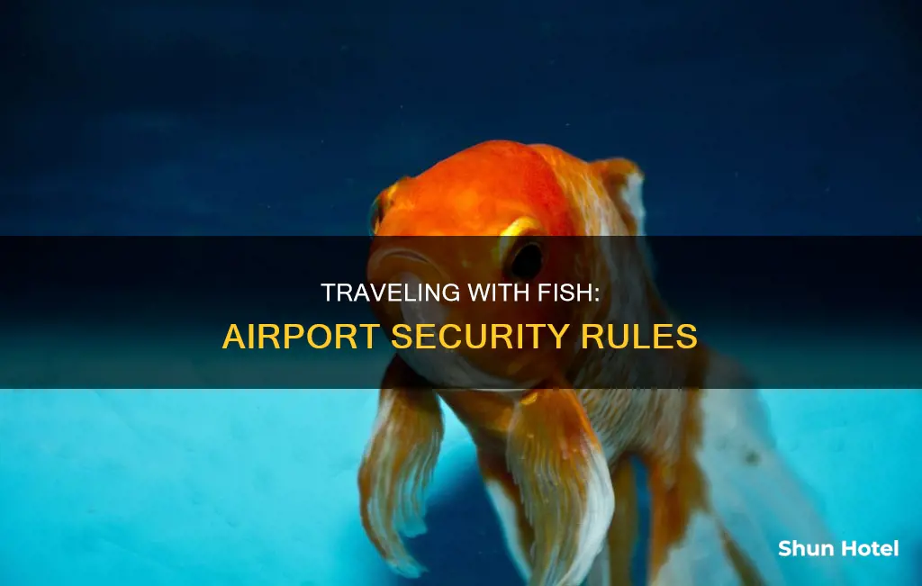 can you bring fish through airport security