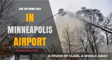 Minneapolis Airport: Can You Bring Your Fog?