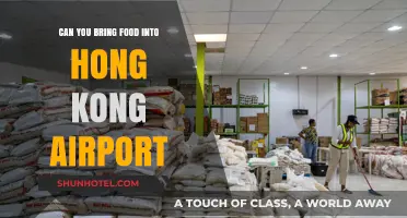 Hong Kong Airport Food Rules: What Can You Bring?