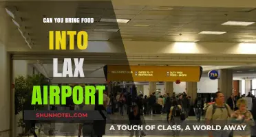 Travelers' Guide to Bringing Food into LAX Airport
