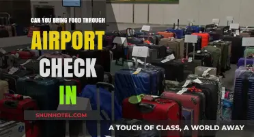 Airport Security: What Foods Can You Bring?