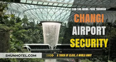 Changi Airport Security: What Foods Can You Bring?