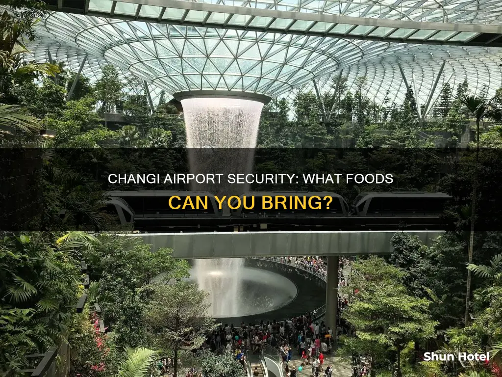can you bring food through changi airport security