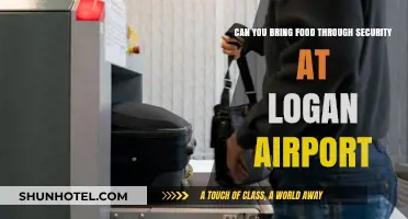 What Foods Can You Bring Through Logan Airport Security?