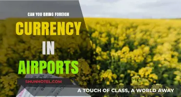 Foreign Currency at Airports: What's Allowed?
