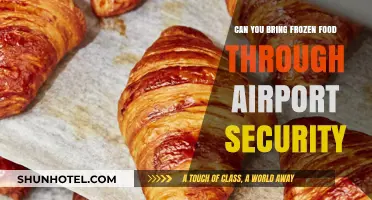 Traveling with Frozen Food: TSA Guidelines for Carry-Ons