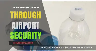 Airport Security: Frozen Water Allowed?