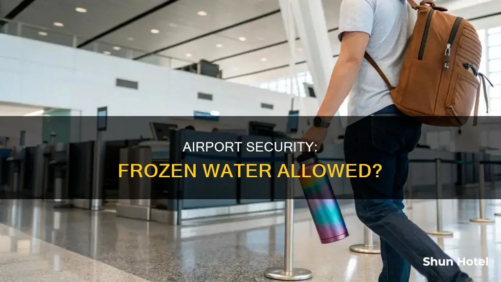can you bring frozen water through airport security