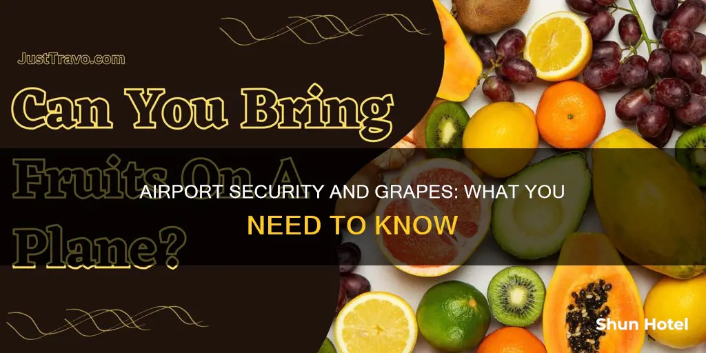 can you bring grapes through airport security