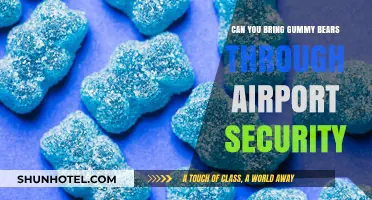 Traveling with Gummy Bears: Airport Security Rules