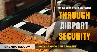 Traveling with Treats: Homemade Cookies and Airport Security