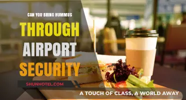 Travelers' Treat: Hummus and Airport Security Rules