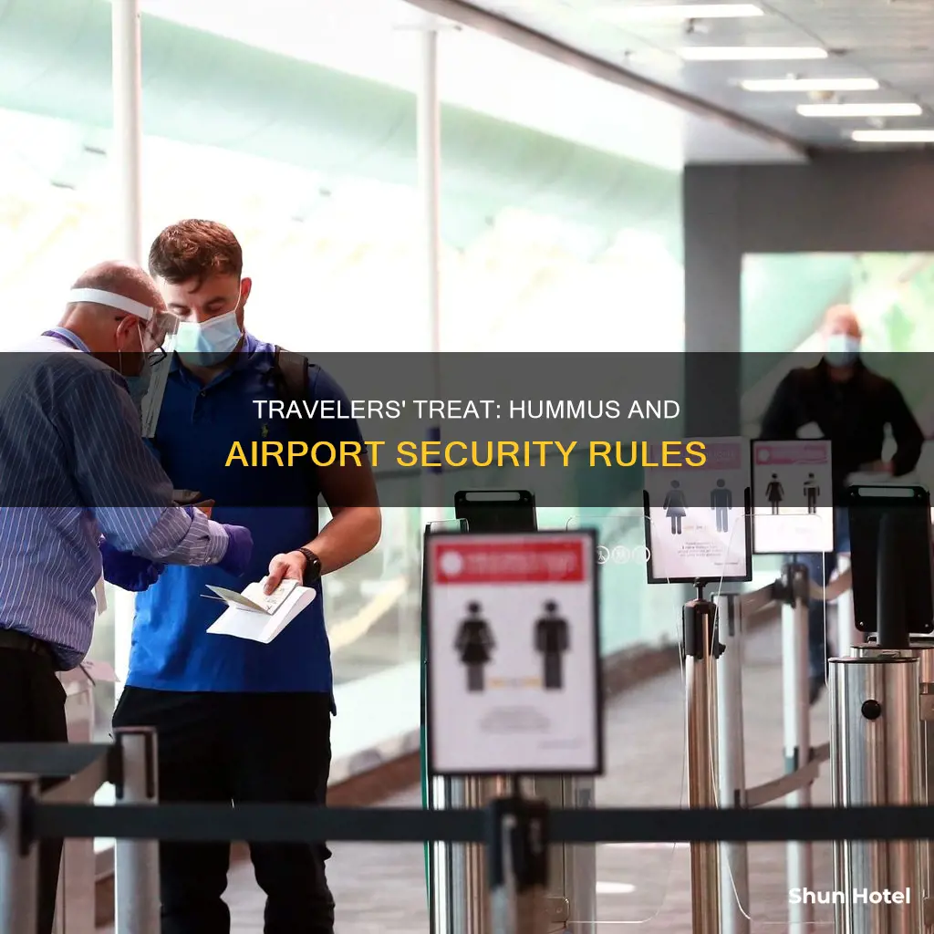 can you bring hummus through airport security
