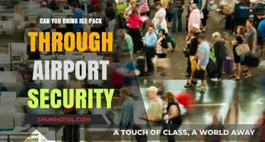 Traveling with Ice Packs: TSA Rules and Regulations