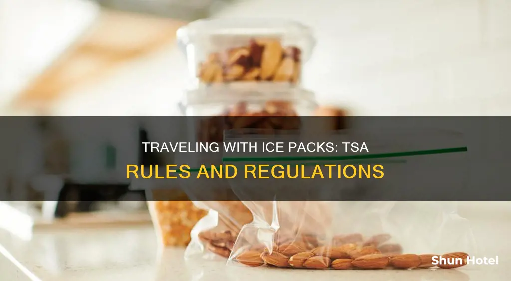 can you bring ice pack through airport security