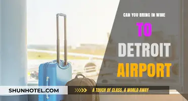 Detroit Airport Wine Rules: Can You Bring Your Own?