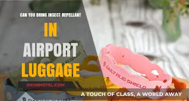Insect Repellent and Air Travel: What's Allowed?