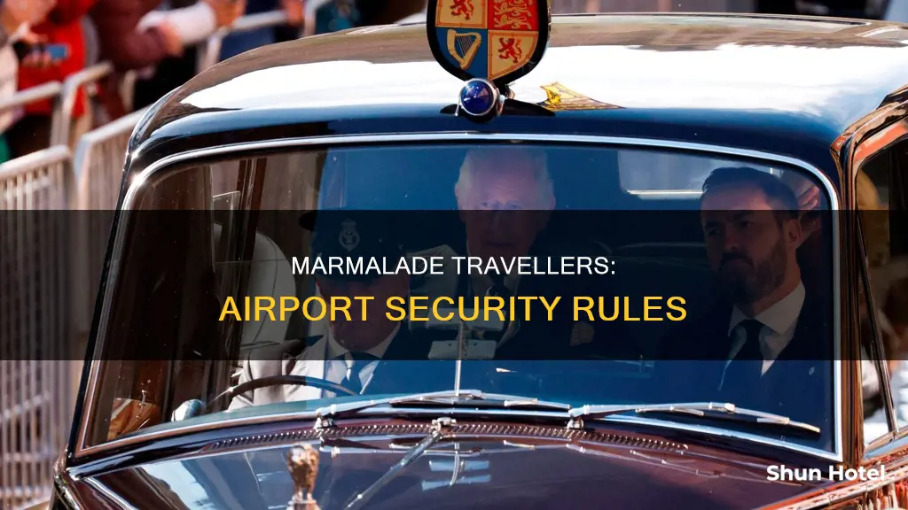 can you bring marmalade thtough airport security