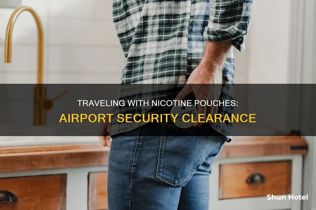 can you bring nicotine pouches through airport security