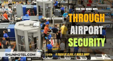 Traveling with Nips: Airport Security Rules