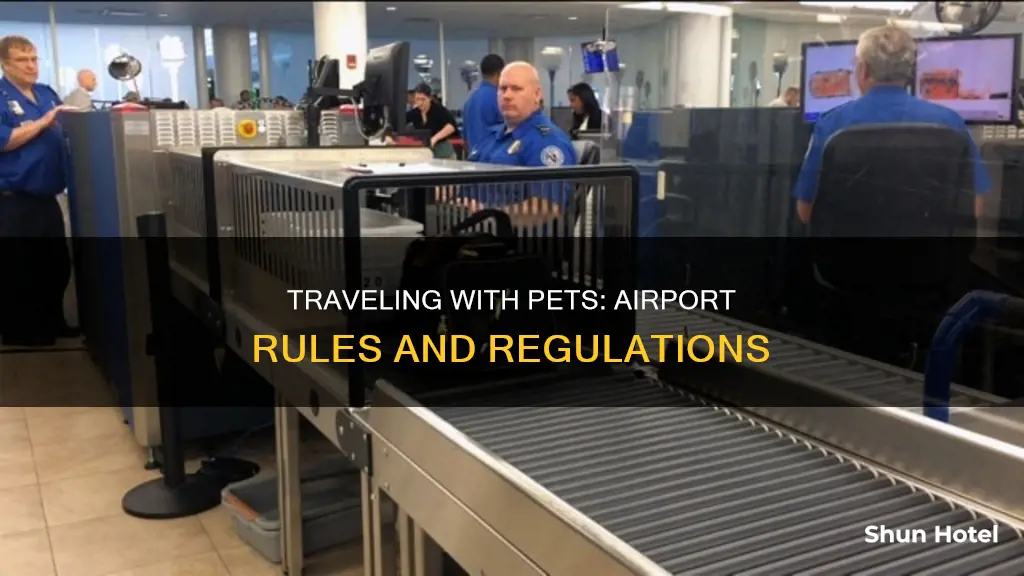 can you bring pets into the airport