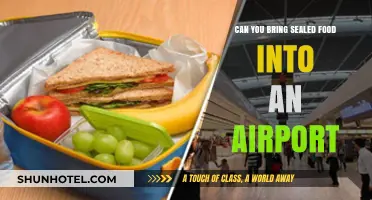 What Foods Can You Bring on a Plane?