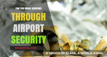 Traveling with Shrooms: Airport Security and You