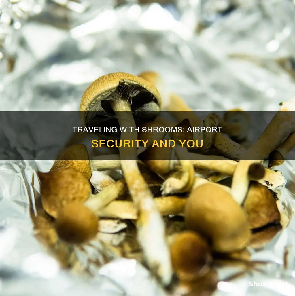 can you bring shrooms through airport security
